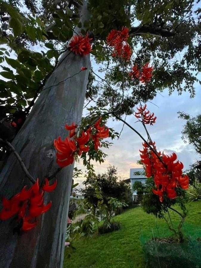 Villa Tip House Khao Kho Esterno foto